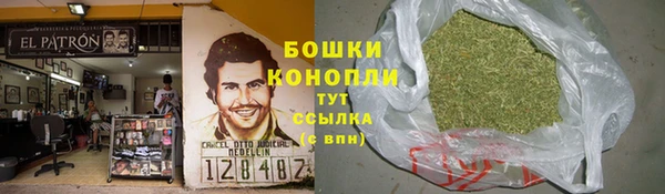 прущая мука Вяземский