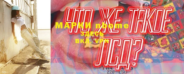 прущие грибы Горно-Алтайск