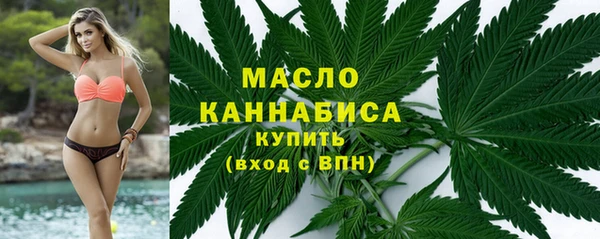 прущая мука Вяземский