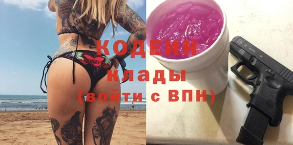 прущая мука Вяземский
