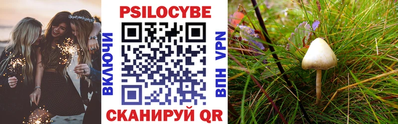 Галлюциногенные грибы прущие грибы  Купить закладки  Межгорье 